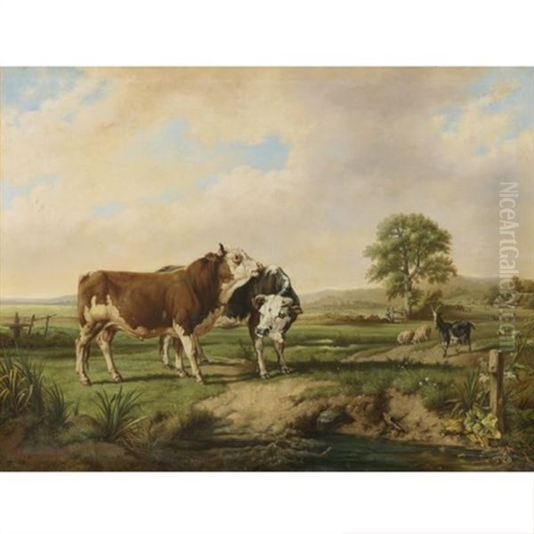 Bulls, Sheep, And A Goat At Pasture - view 1