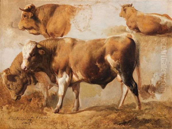 Etude De Taureaux (study) - view 1