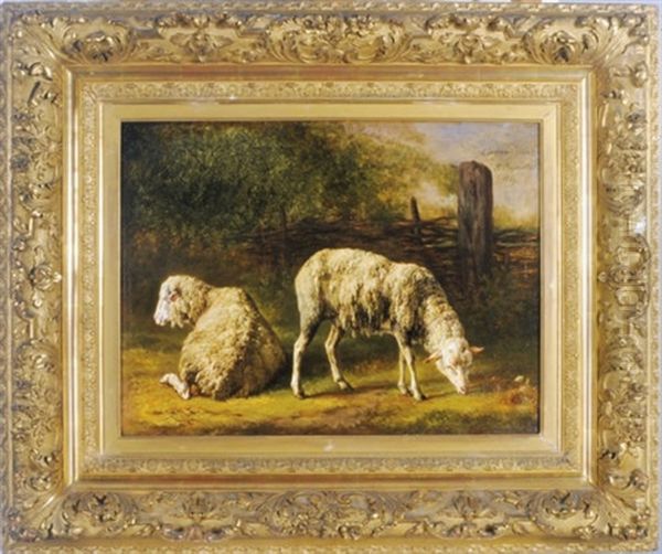 Sheep Grazing In A Landscape - view 1
