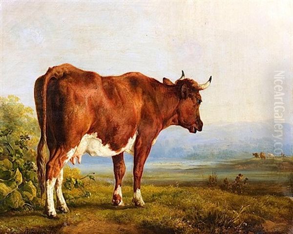 Vache Dans Un Paysage - view 1
