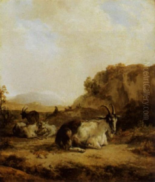 Sommerliche Landschaft Mit Ziegen - view 1