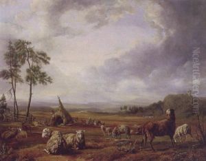 A Shepherd And His Flock