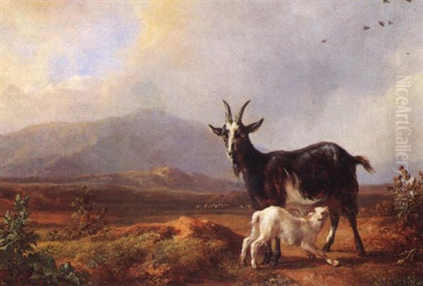 Chevre Et Chevreau Dans Un Paysage - view 1