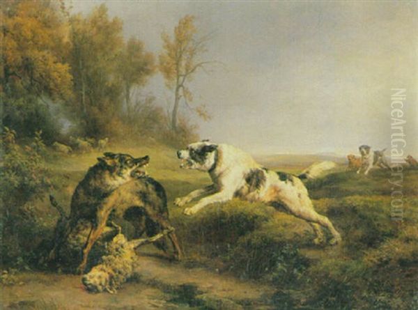 Wolf Beim Beutezug Und Hirtenhunde In Weiter Landschaft - view 1