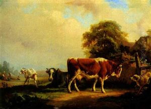 Cows Resting By A Cottage Fence
