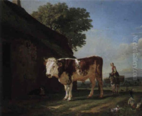 Taureau Pres D'une Ferme - view 1