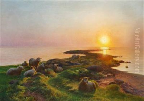 Sol Over Havet - view 1