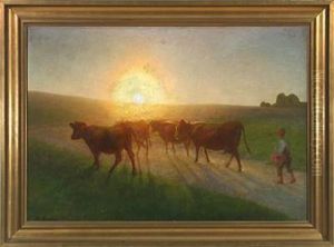 Cows Are Brought Home At Sunset Cows Are Brought Home At Sunset