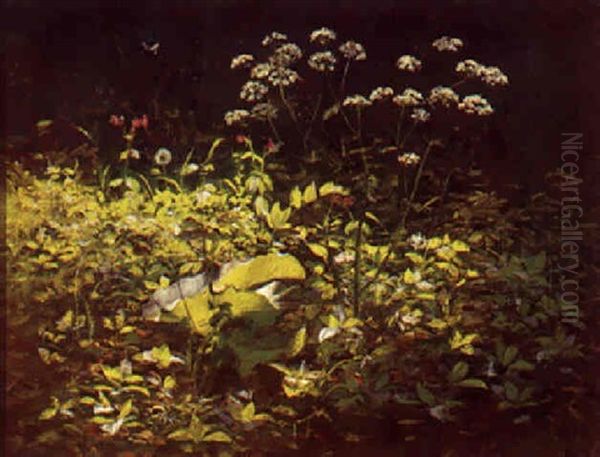 Vilde Blomster - view 1