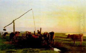 Kvaeg Pa Strandmarken Kvaeg Pa Strandmarken