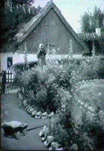 Sommarafton I Tradgarden