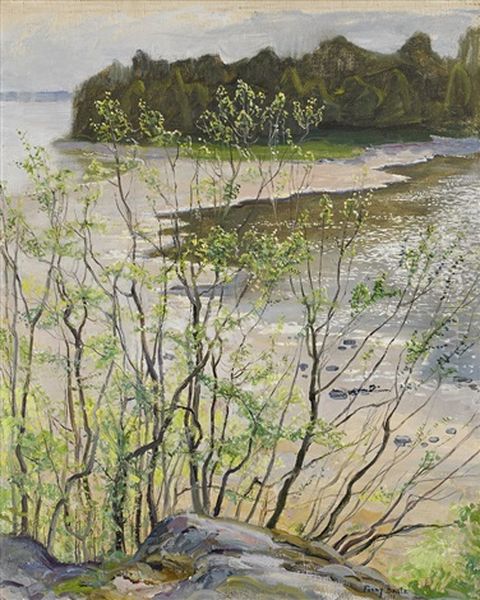 Varlandskap - view 1