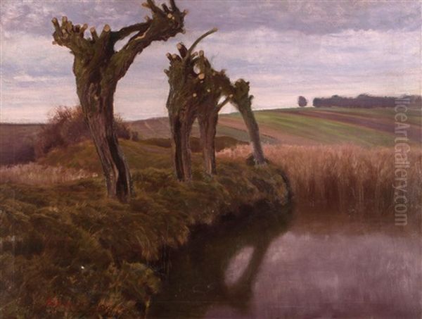 Przyciete Wierzby Nad Stawem - view 1