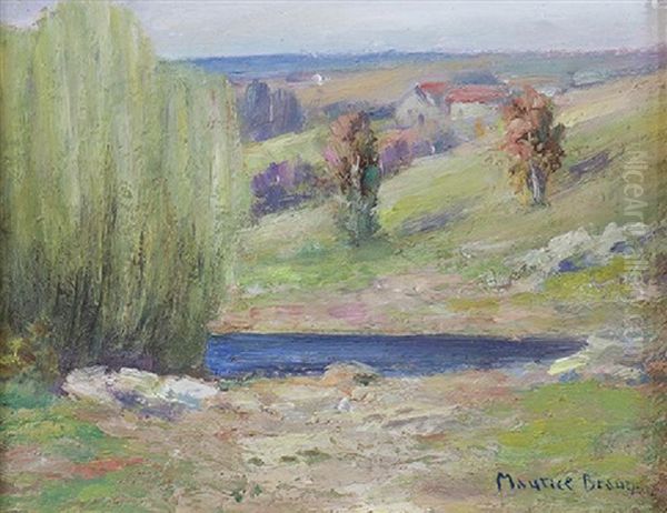 Pond By The Ranch - view 1