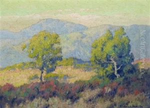 Trees On A Hillside Trees On A Hillside