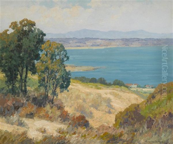 From Point Loma - view 1