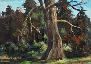 A Large Tree By A Path by Maurice Braun