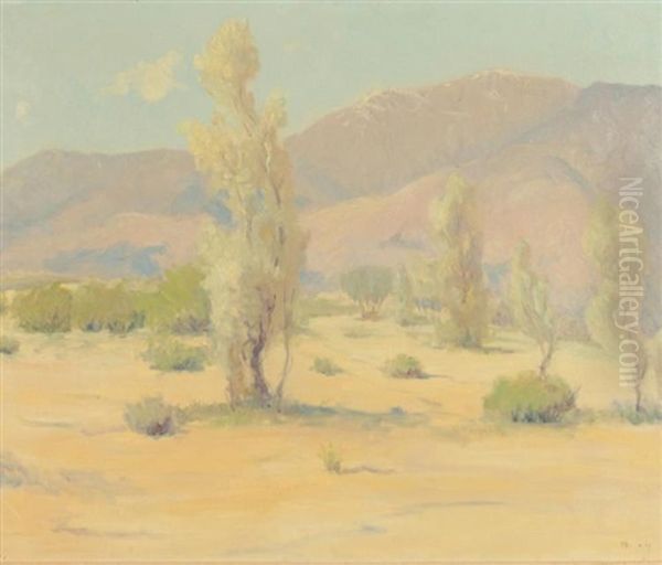 Smoke Trees Near Palm Springs Calif - view 1
