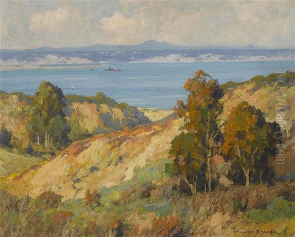 Point Loma Hills - view 1