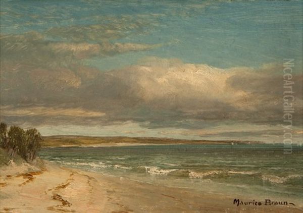 Coastal Scene With Clouds - view 1
