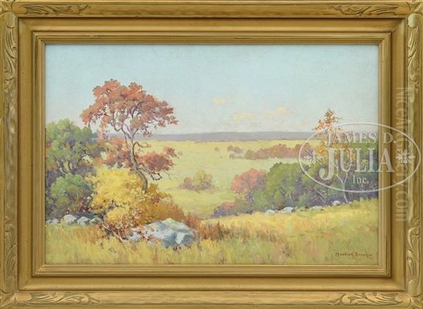 The Summer Panoramic Landscape - view 1