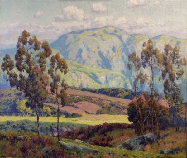 Oh Colorful California! - view 1