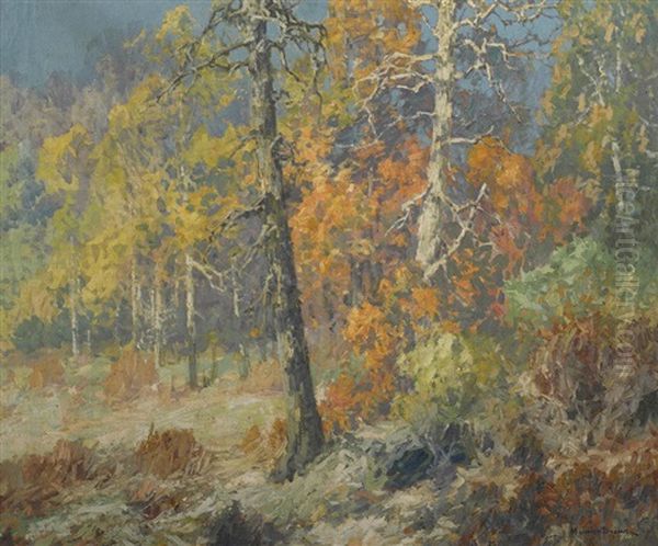Autumn Woods - view 1