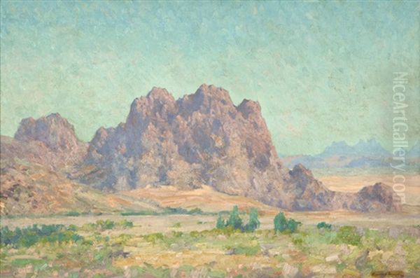 Desert Landscape - view 1