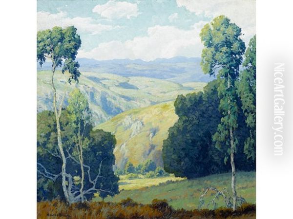 California Vista - view 1
