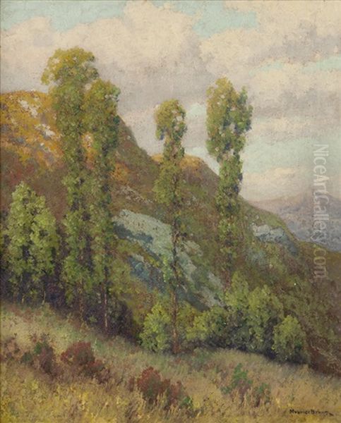 Mountainside, San Diego Foothills Landscape - view 1
