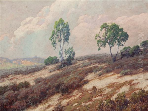 Point Loma Hill - view 1