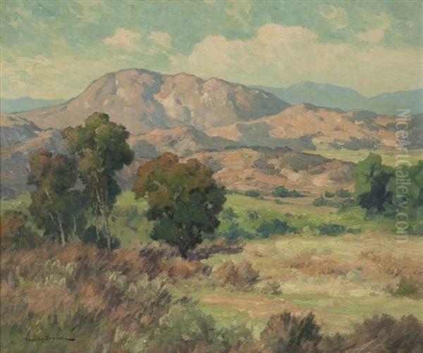 California Hills - view 1