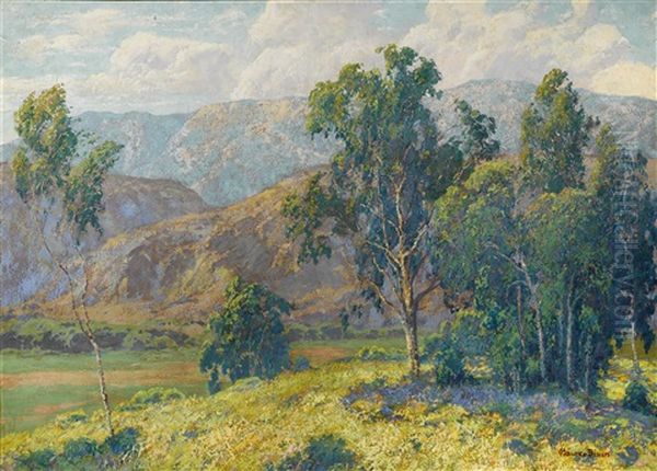 California Splendor - view 1