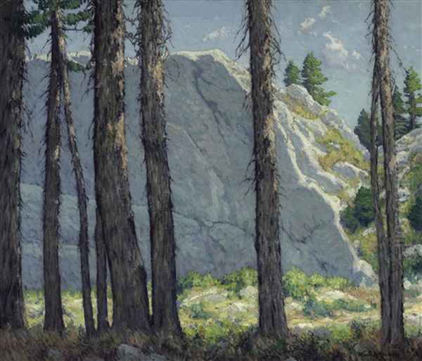 A Wall Of Granite - view 1