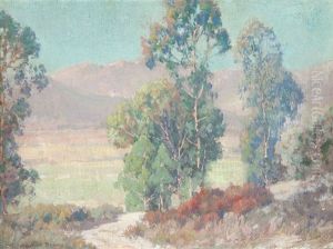 Eucalyptus & Hills by Maurice Braun