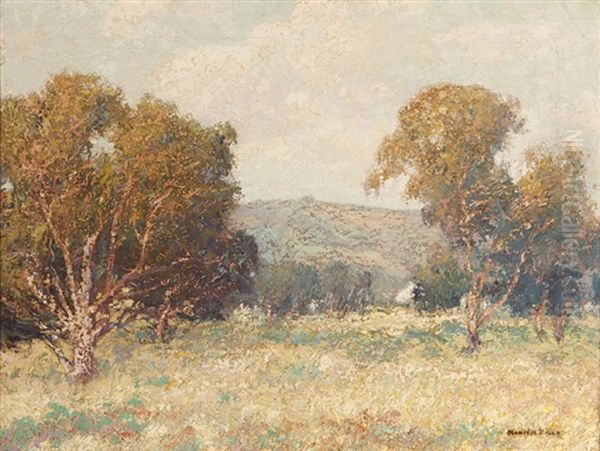 Trees In A California Landscape - view 1