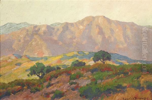 Blooming Hills And Distant Mountains, California - view 1