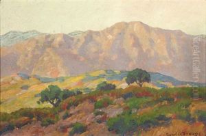 Blooming Hills And Distant Mountains, California by Maurice Braun