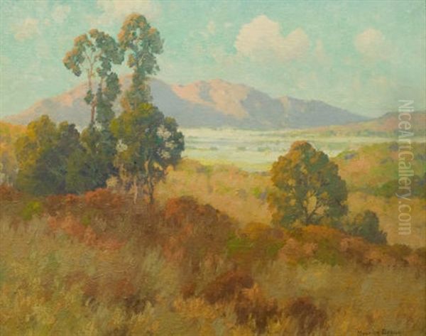 Valley In Summer - view 1