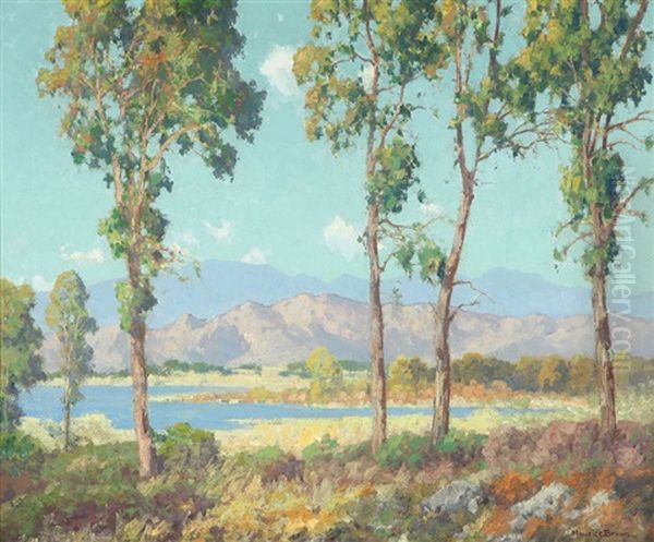 Eucalyptus, Southern California Landscape - view 1