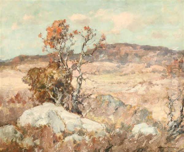 Sycamore In Autumn - view 1