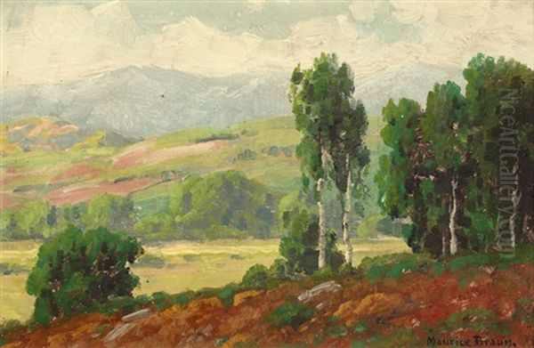 Eucalyptus On A California Hillside - view 1
