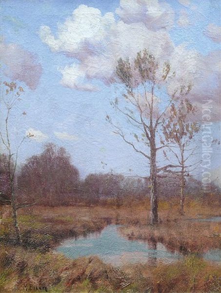 Morning On The Marshes - view 1