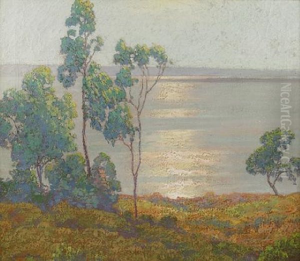 Morning Sun, San Diego Bay, From Point Loma - view 1