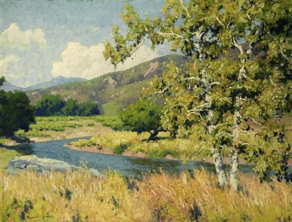 San Diego Landscape (decker Canyon?) - view 1