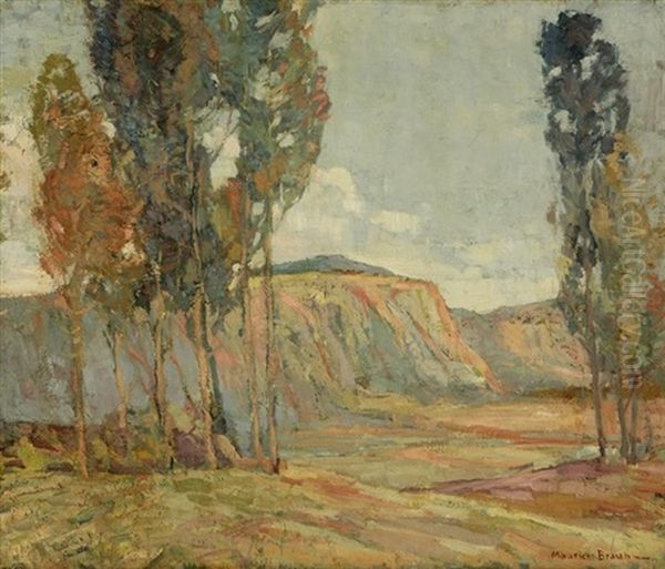 Eucalyptus In A California Landscape - view 1