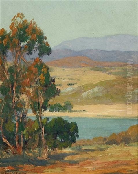 Lake In Eucalyptus Landscape (lake Hodges?) - view 1