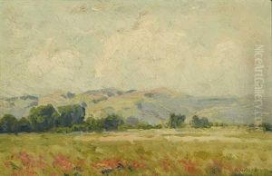California Summer Landscape