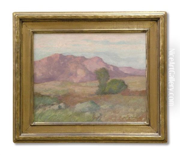 Caliornia Foothills - view 1