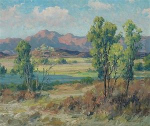 Summer Stream With Distant Mountains